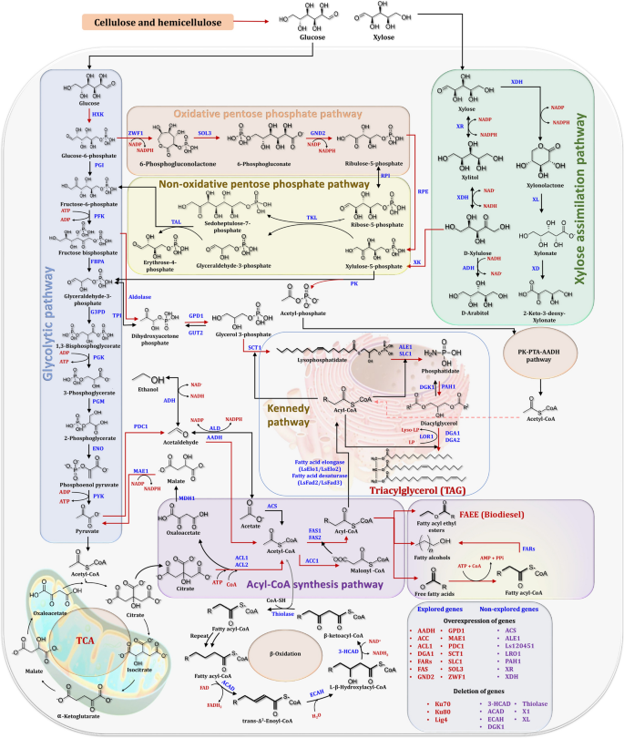 figure 17