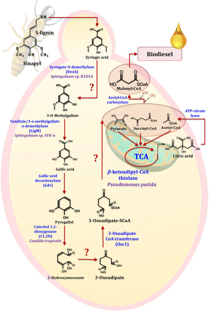 figure 22