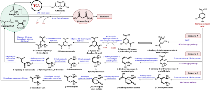 figure 23