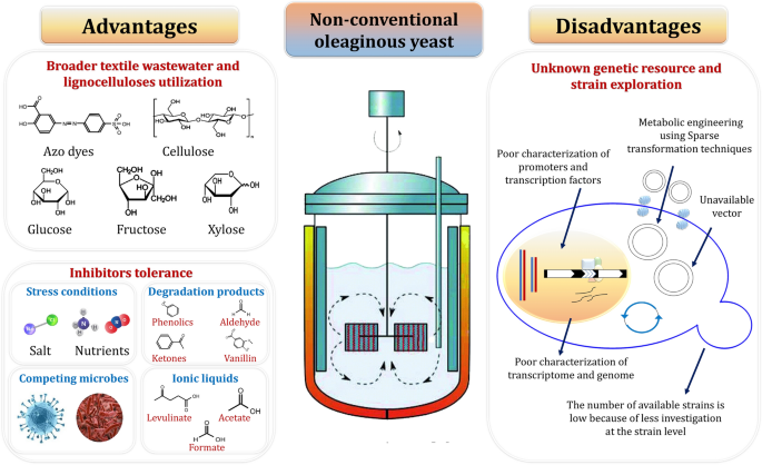 figure 25