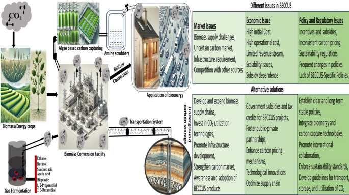 Bioenergy carbon capture storage and utilization: a critical review of ...