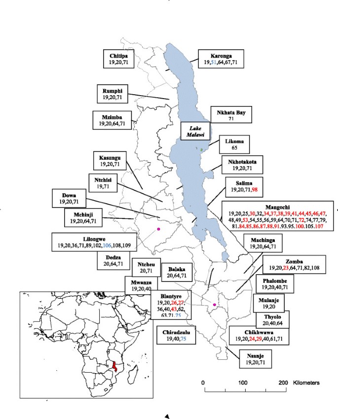 Schistosomiasis malawi-tó. Nyasza-tó – Wikipédia