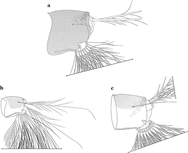 figure 22