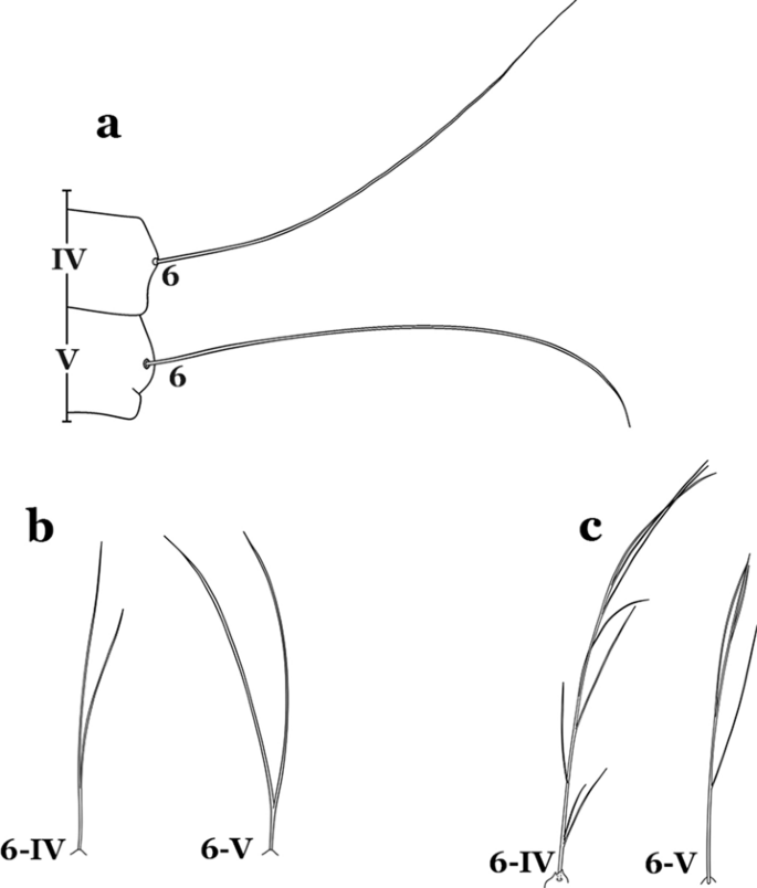 figure 24