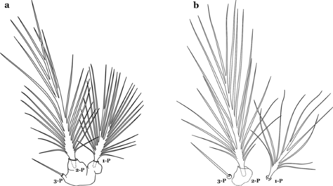 figure 28