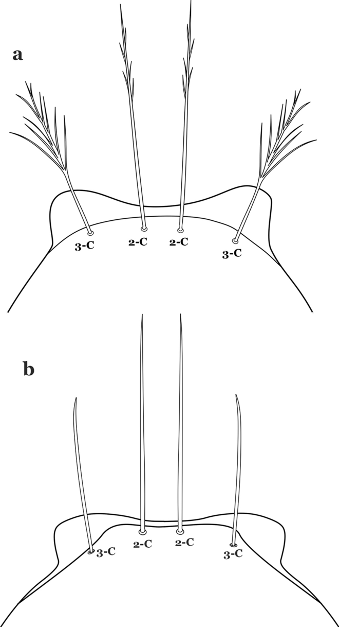 figure 34