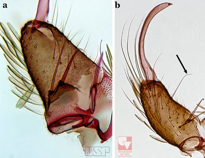 figure 66