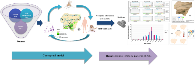 A spatio-temporal agent-based approach for modeling the spread of zoonotic  cutaneous leishmaniasis in northeast Iran | Parasites & Vectors | Full Text