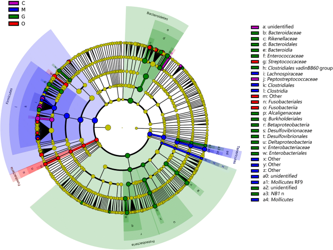 Dissection Of The Cecal Microbial Community In Chickens After Eimeria Tenella Infection Parasites Vectors Full Text