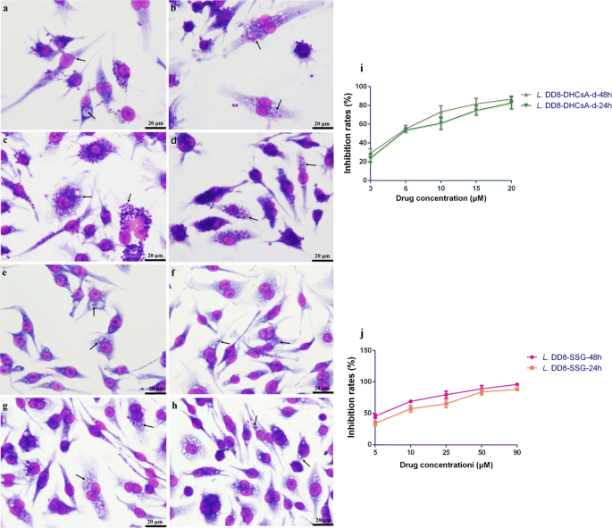 Evaluation Of In Vitro Antileishmanial Efficacy Of Cyclosporin A And Its Non Immunosuppressive Derivative Dihydrocyclosporin A Parasites Vectors Full Text