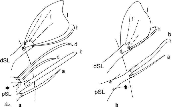 figure 29