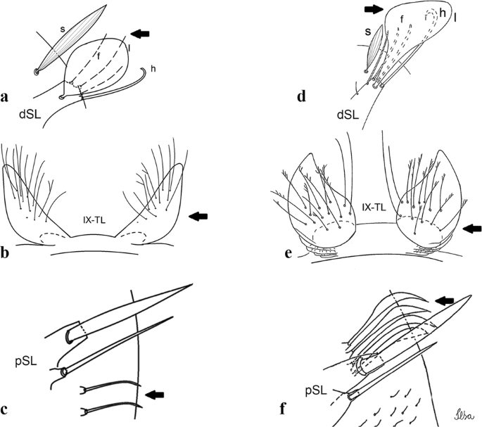 figure 32