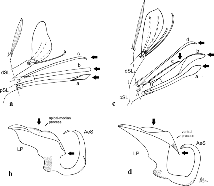 figure 38