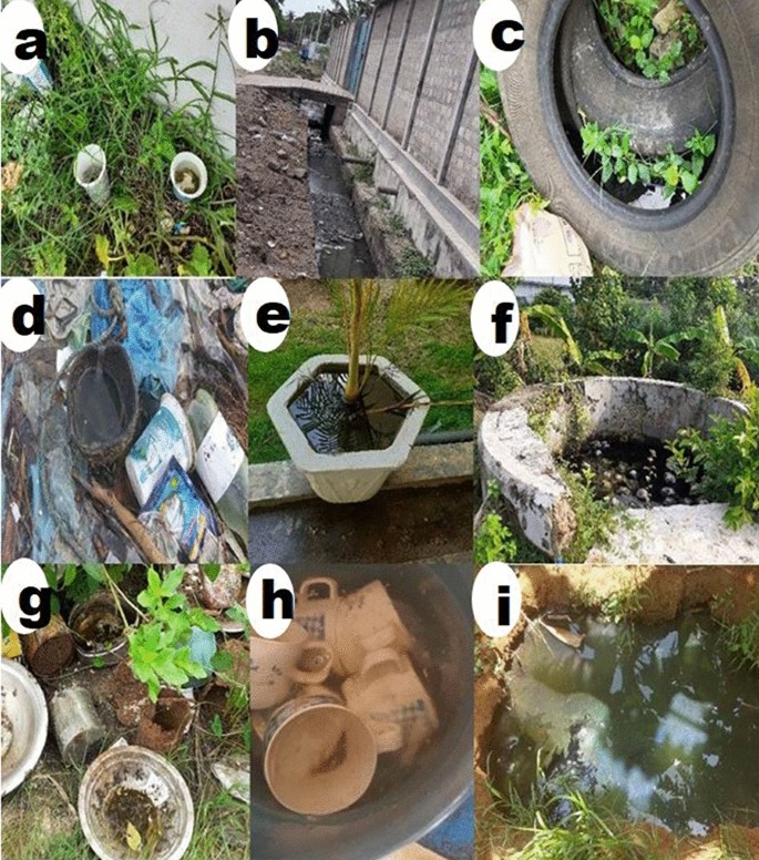 Aedes Larval Bionomics And Implications For Dengue Control In The Paradigmatic Jaffna Peninsula Northern Sri Lanka Parasites Vectors Full Text