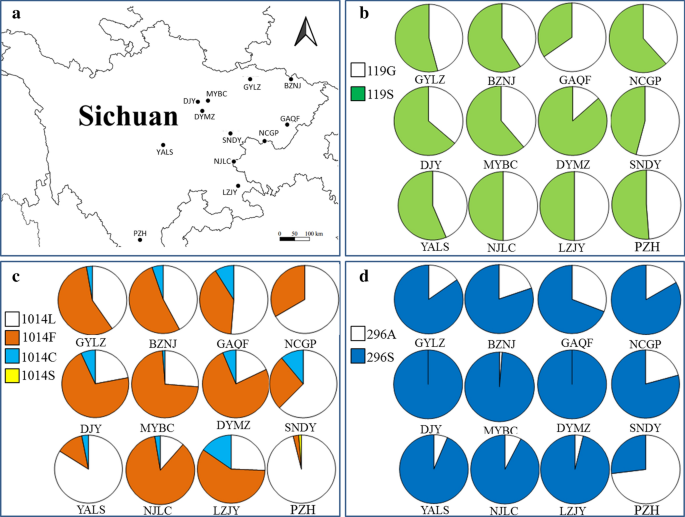 A Survey Of Insecticide Resistance Conferring Mutations In Multiple Targets In Anopheles Sinensis Populations Across Sichuan China Parasites Vectors Full Text