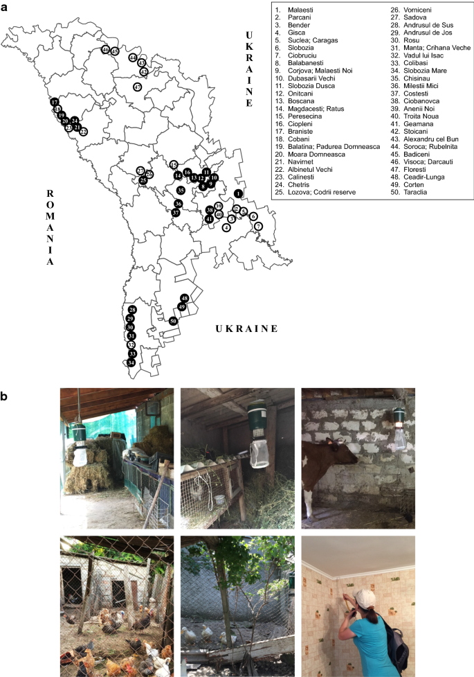 Phlebotomine sand fly survey in the Republic of Moldova: species  composition, distribution and host preferences | Parasites & Vectors | Full  Text