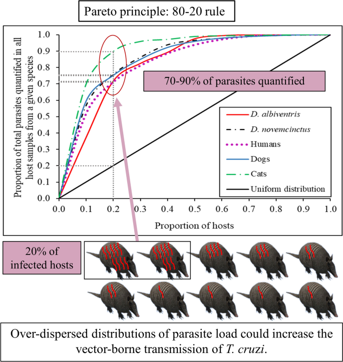 Indices measuring triatomine prevention practices related to (A) rodent
