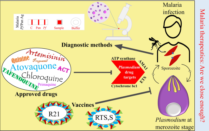 Anti-malarial drug: the emerging role of artemisinin and its