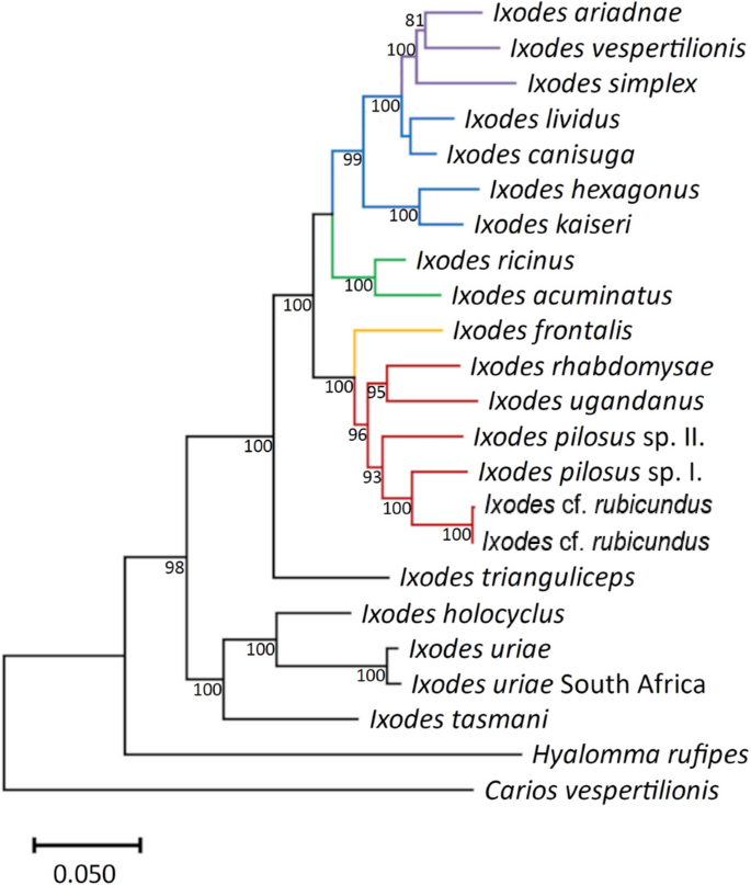 figure 12