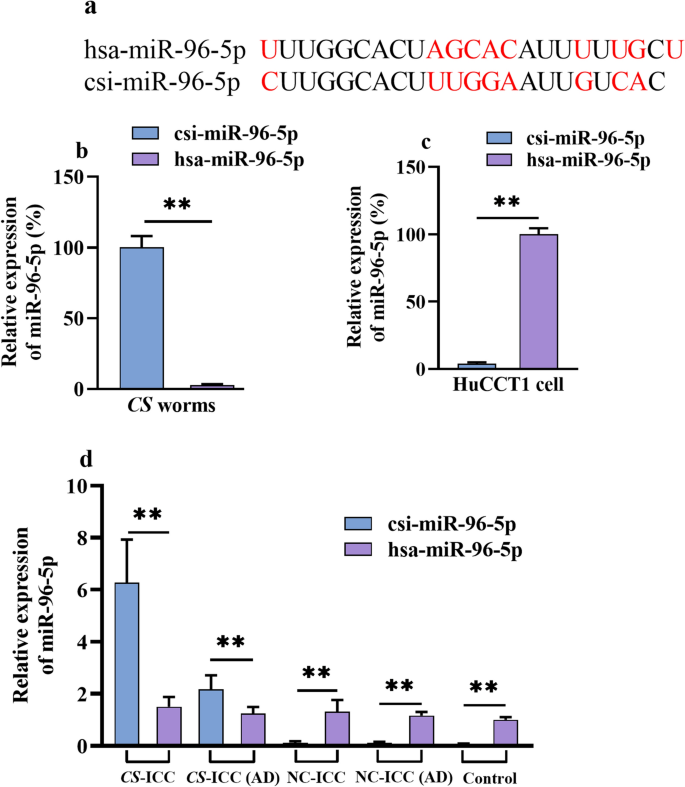 RETRACTED ARTICLE: csi-miR-96-5p delivered by Clonorchis sinensis 