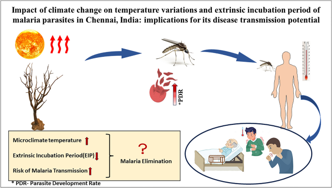 essay on malaria disease