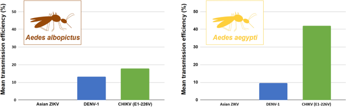Vector competence of Aedes albopictus and Aedes aegypti from the ...