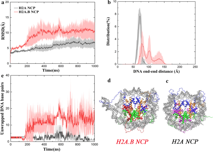 Molecular Mechanism Of Histone Variant H2a B On Stability And Assembly Of Nucleosome And Chromatin Structures Epigenetics Chromatin Full Text