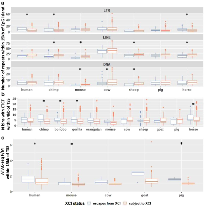 Genes that Escape Silencing on the Second X Chromosome May Drive Disease