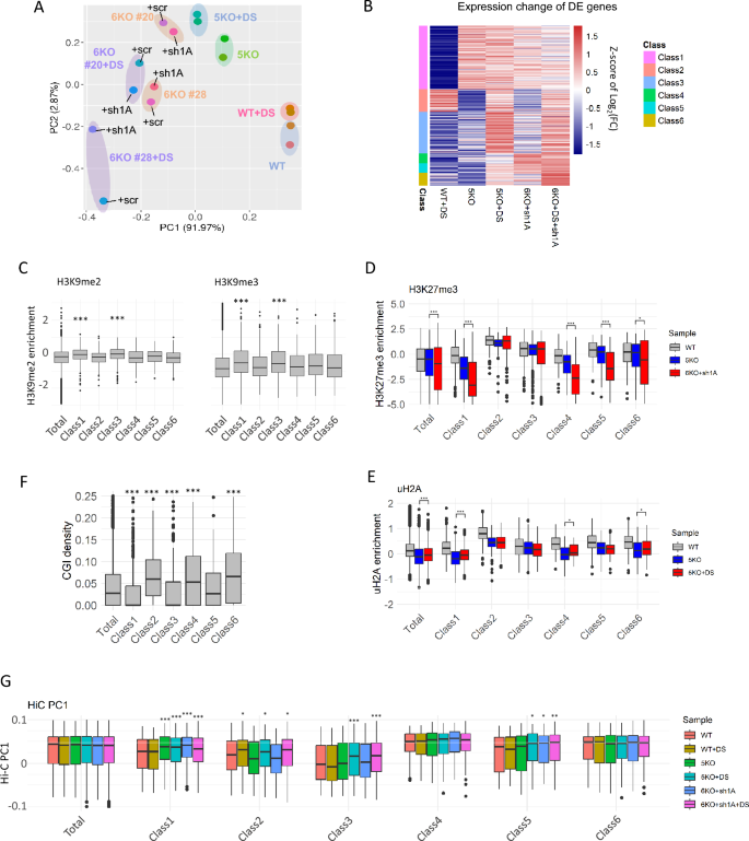 H3K27me3 and the PRC1-H2AK119ub pathway cooperatively maintain ...