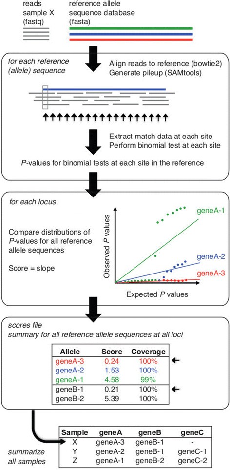 SRST2: Rapid genomic surveillance for public health and hospital microbiology labs