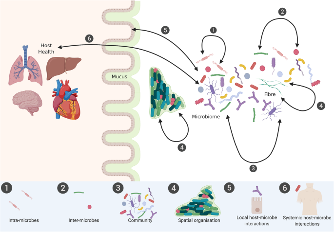 The Complexities Of The Diet Microbiome Relationship Advances And Perspectives Genome Medicine Full Text