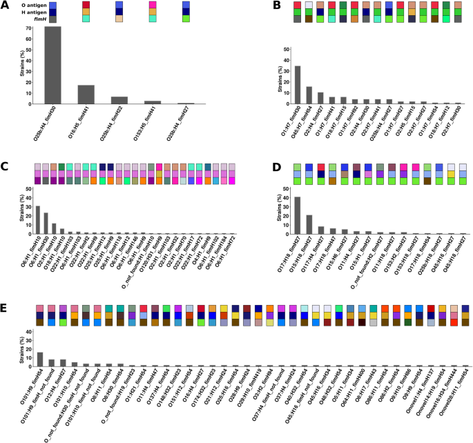 Phylogroup Stability Contrasts With High Within Sequence Type Complex Dynamics Of Escherichia Coli Bloodstream Infection Isolates Over A 12 Year Period Genome Medicine Full Text
