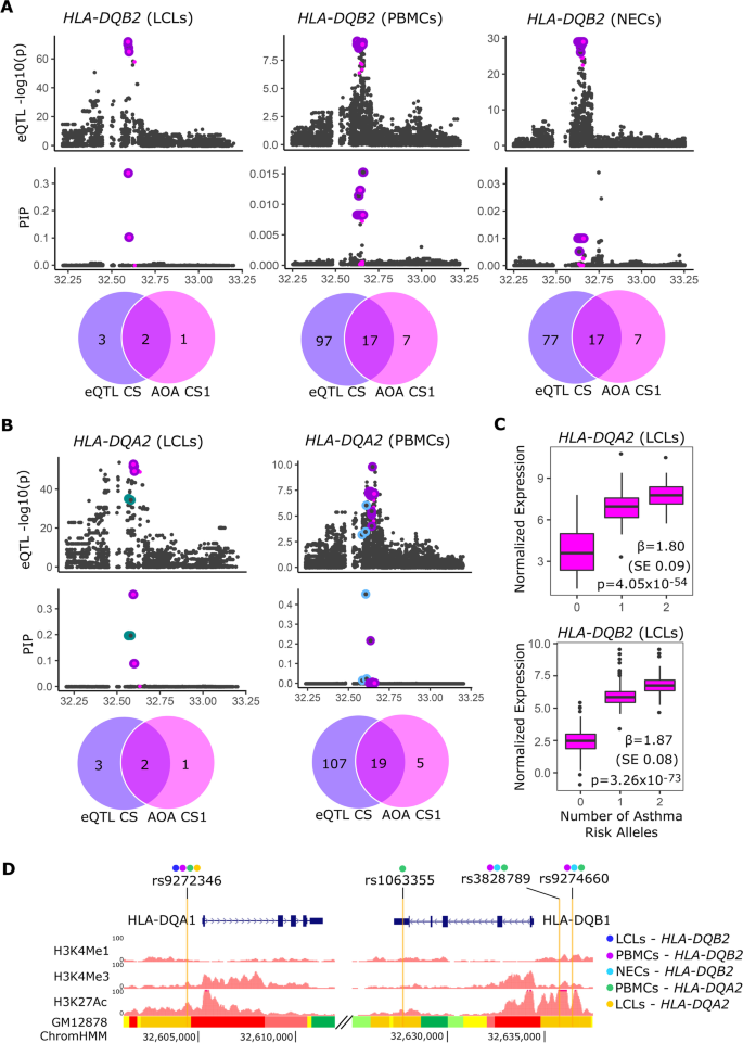 Single-Cell Epigenomics and Functional Fine-Mapping of