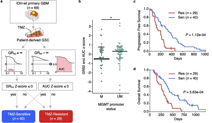 Pharmacogenomic profiling in glioblastoma