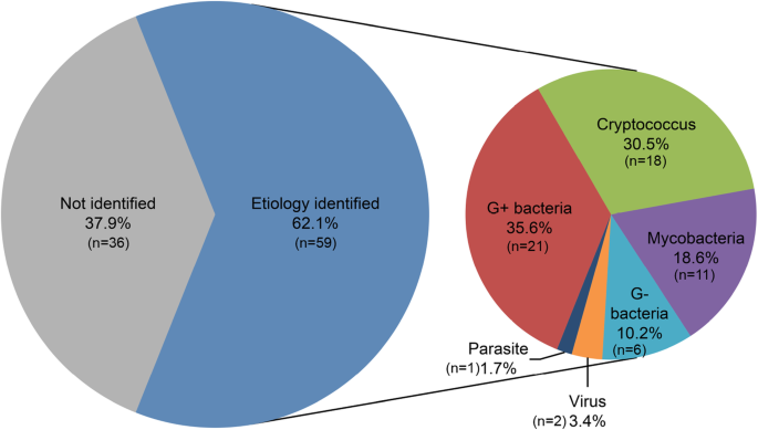 Clinical Features Of Central Nervous System Infections And Experience In Differential Diagnosis From Neuropsychiatric Lupus Erythematosus In A Cohort Of 8491 Patients With Systemic Lupus Erythematosus Arthritis Research Therapy Full Text