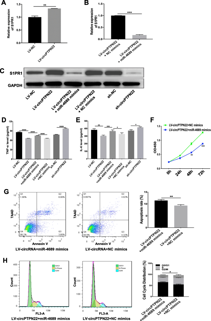 CircPTPN22 modulates T-cell activation by sponging miR-4689 to regulate S1PR1 expression in patients with systemic lupus erythematosus | Arthritis Research & Therapy | Full Text circptpn22-modulates-t-cell-activation-by-sponging-mir-4689-to-regulate-s1pr1-expression-in-patients-with-systemic-lupus-erythematosus-arthritis-research-therapy-full-text