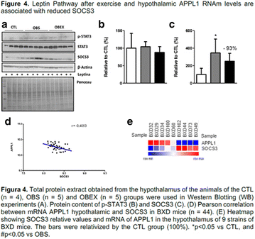 figure 54