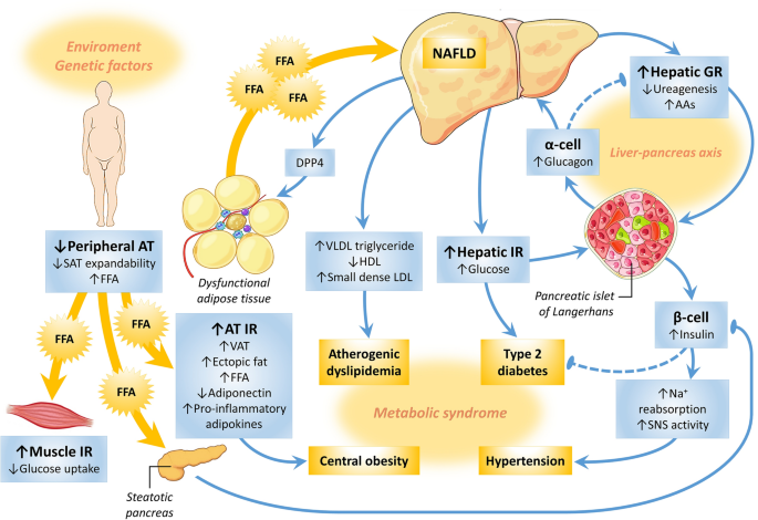 diabetes, obesity and metabolism)