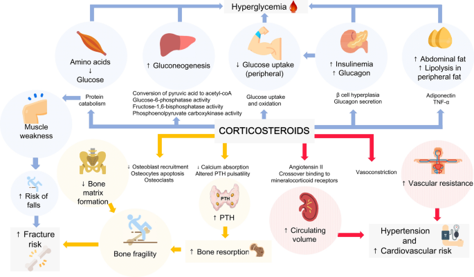 Dexamethasone in the era of COVID-19: friend or foe? An essay on the effects  of dexamethasone and the potential risks of its inadvertent use in patients  with diabetes | Diabetology & Metabolic