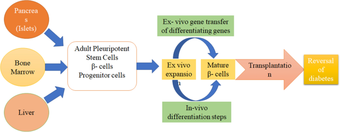 figure 18