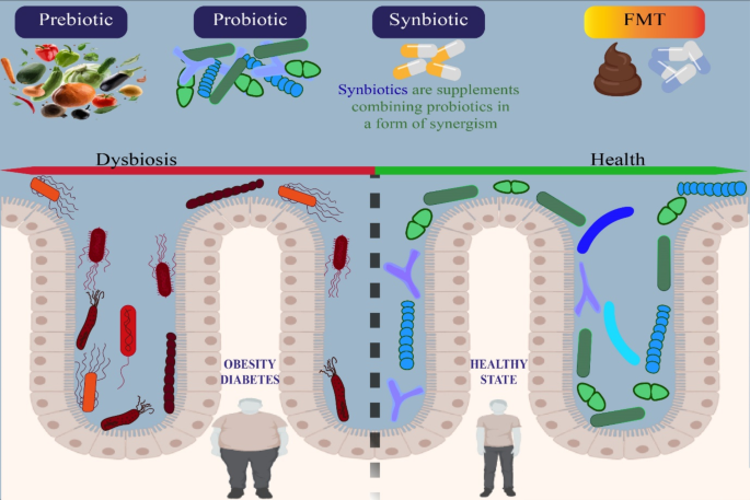 Functional Mushrooms And Intermittent Fasting: A Synergistic Approach 