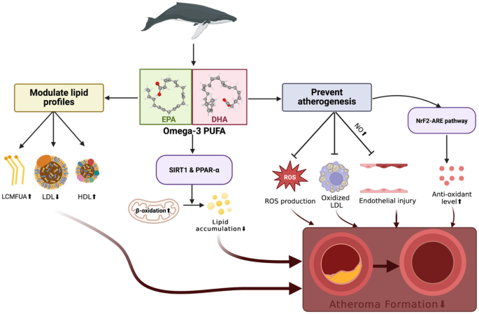 does glutathione interact with warfarin Vitamin Injection Interactions: What to Know