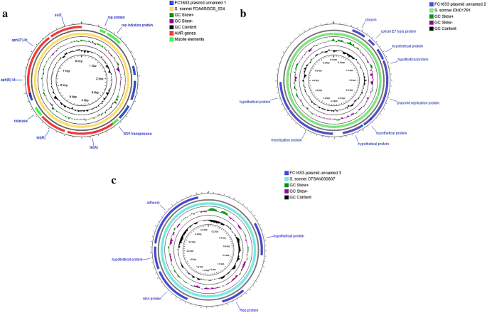 Complete Genome Analysis Of Clinical Shigella Strains Reveals Plasmid Pss1653 With Resistance Determinants A Triumph Of Hybrid Approach Gut Pathogens Full Text Complete Genome Analysis Of Clinical Shigella Strains Reveals Plasmid Pss1653 With Resistance Determinants A Triumph Of Hybrid Approach Gut Pathogens Full Text
