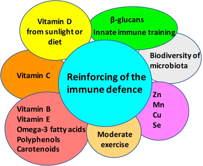 How To Boost The Immune Defence Prior To Respiratory Virus Infections With The Special Focus On Coronavirus Infections Gut Pathogens Full Text