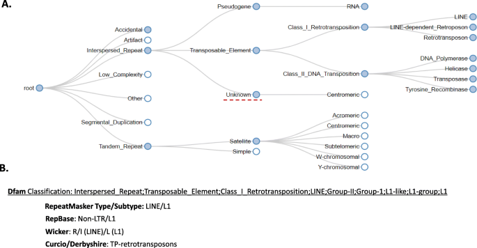 The Dfam Community Resource Of Transposable Element Families Sequence Models And Genome Annotations Mobile Dna Full Text