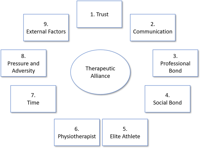 A framework exploring the therapeutic alliance between elite ...