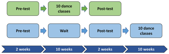 what is randomization in research design figure 1