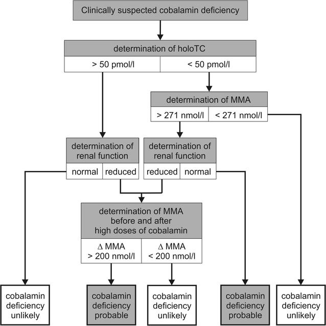 Rapid healing of a patient with dramatic subacute combined degeneration of  spinal cord: a case report | BMC Research Notes | Full Text