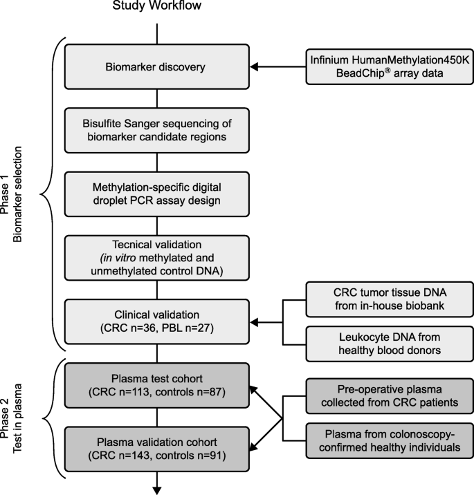 Novel DNA methylation biomarkers show high sensitivity and specificity for  blood-based detection of colorectal cancer—a clinical biomarker discovery  and validation study | Clinical Epigenetics | Full Text