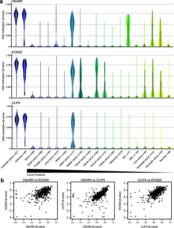 Novel DNA methylation biomarkers sensitivity and specificity for blood-based of colorectal cancer—a clinical biomarker discovery and validation study | Clinical Epigenetics | Full